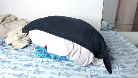 jorge daniel online show from 14, 1, 2025