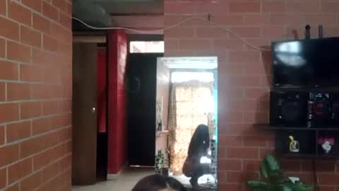 hanna online show from 27, 1, 2025