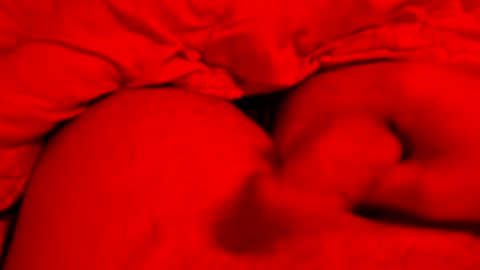 Small things matters online show from 8, 3, 2026