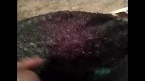 hardandhorny422 online show from 13, 10, 2025