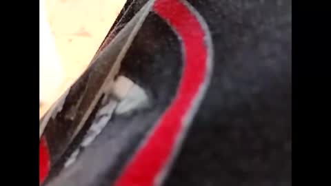 hardandhorny422 online show from 16, 10, 2025