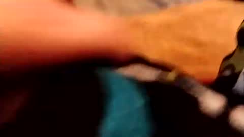 hardandhorny422 online show from 4, 12, 2025