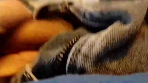 hardandhorny422 online show from 15, 1, 2026