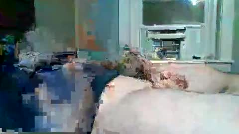 cervixpainter25 online show from 30, 11, 2025