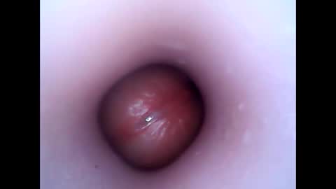 Snapshot of hardhammerboy chatting on 26, 12, 2024 hardhammerboy online show from 26, 12, 2024