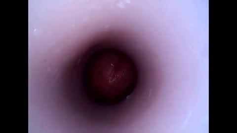 Snapshot of hardhammerboy chatting on 29, 12, 2024 hardhammerboy online show from 29, 12, 2024