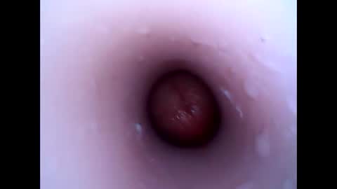 Snapshot of hardhammerboy chatting on 30, 12, 2024 hardhammerboy online show from 30, 12, 2024