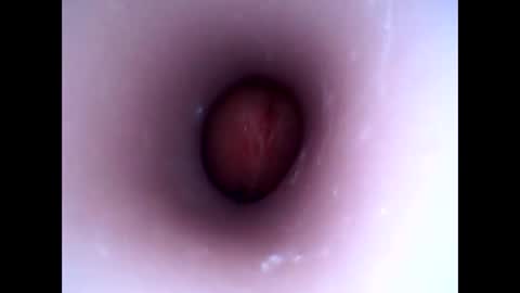 Snapshot of hardhammerboy chatting on 1, 1, 2025 hardhammerboy online show from 1, 1, 2025