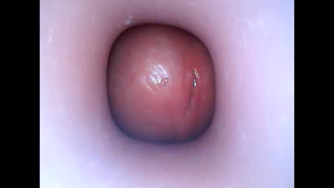 Snapshot of hardhammerboy chatting on 6, 1, 2025 hardhammerboy online show from 6, 1, 2025