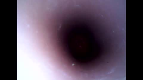 Snapshot of hardhammerboy chatting on 10, 1, 2025 hardhammerboy online show from 10, 1, 2025