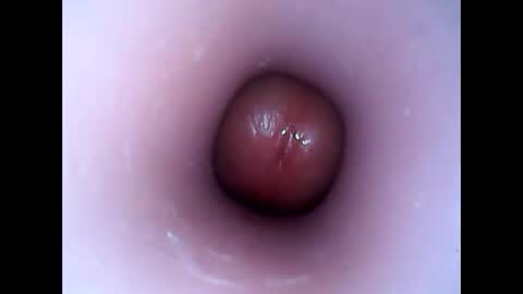 Snapshot of hardhammerboy chatting on 12, 1, 2025 hardhammerboy online show from 12, 1, 2025