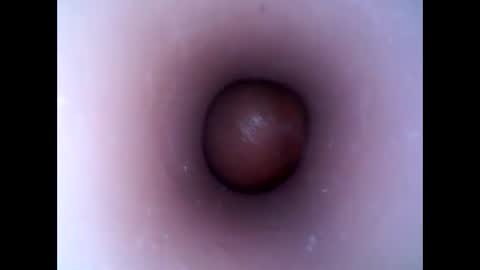 Snapshot of hardhammerboy chatting on 13, 1, 2025 hardhammerboy online show from 13, 1, 2025