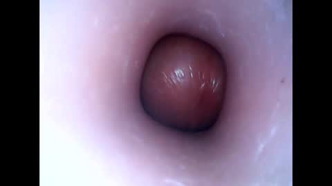 Snapshot of hardhammerboy chatting on 16, 1, 2025 hardhammerboy online show from 16, 1, 2025