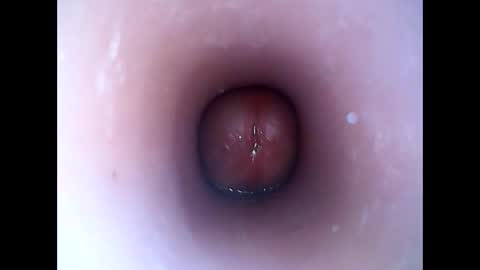 Snapshot of hardhammerboy chatting on 19, 1, 2025 hardhammerboy online show from 19, 1, 2025