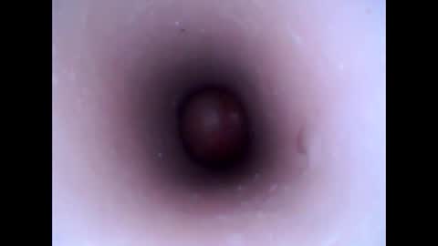 Snapshot of hardhammerboy chatting on 20, 1, 2025 hardhammerboy online show from 20, 1, 2025