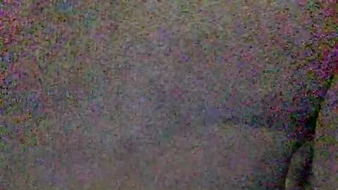 Snapshot of hardiebois chatting on 8, 6, 2026 Micheal online show from 8, 6, 2026