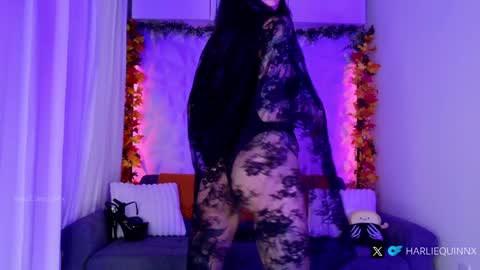 Snapshot of harliequinnx chatting on 31, 10, 2025 Harliequinnx - Schedule Below Exxxotica DC Dec 6-8th online show from 31, 10, 2025