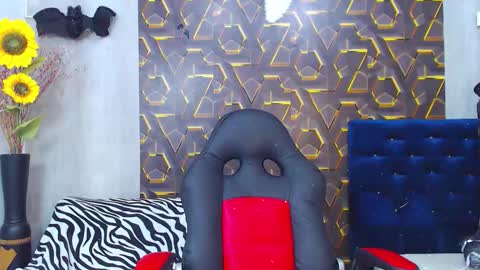 Harry online show from 5, 11, 2025