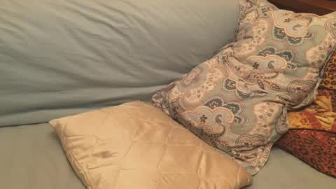 havedream1m online show from 17, 12, 2024