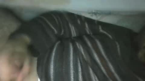 hayal758 online show from 21, 12, 2024