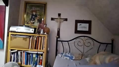 Snapshot of heavenport007 chatting on 20, 7, 2026 Ralf online show from 20, 7, 2026