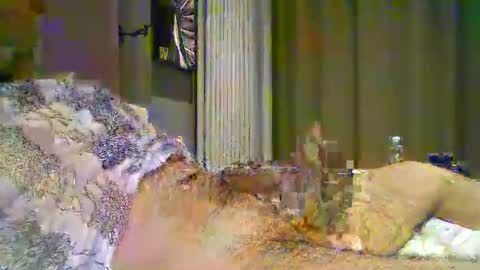 heddamedda59 online show from 3, 4, 2026