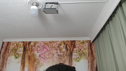 Snapshot of hellen_garcia chatting on 19, 12, 2024 Hellen online show from 19, 12, 2024