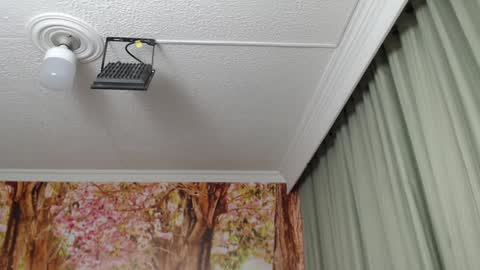 Snapshot of hellen_garcia chatting on 23, 1, 2025 Hellen online show from 23, 1, 2025