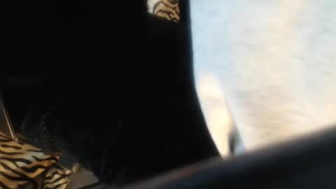 Helvell online show from 13, 4, 2026