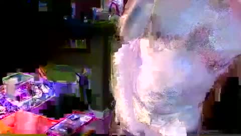 herb60657 online show from 4, 11, 2025