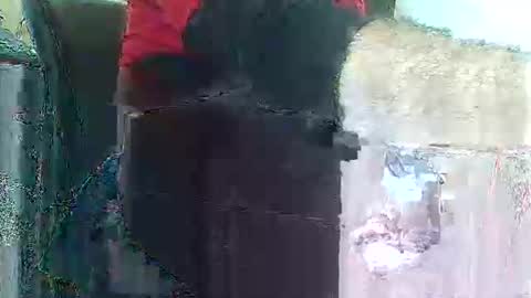 herbee510 online show from 20, 12, 2025