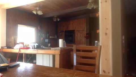 Jason online show from 26, 2, 2026