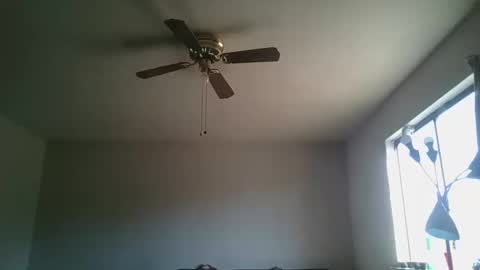 hermannbukowski online show from 20, 10, 2025