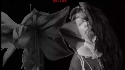 Snapshot of hetaerart chatting on 24, 6, 2026 Sasha online show from 24, 6, 2026