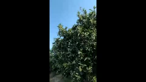 heterooli online show from 29, 3, 2026