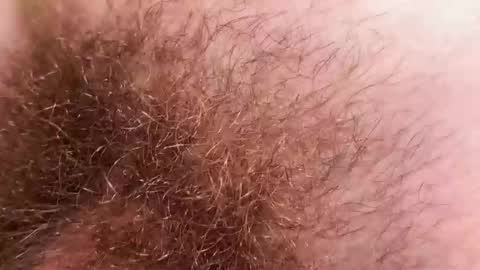 Arnold online show from 2, 12, 2025