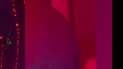 Alina online show from 8, 12, 2024