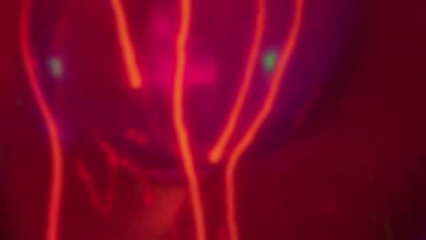 Alina online show from 14, 12, 2024