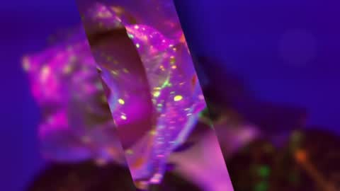 Alina online show from 19, 1, 2025