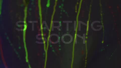 Alina online show from 3, 10, 2025