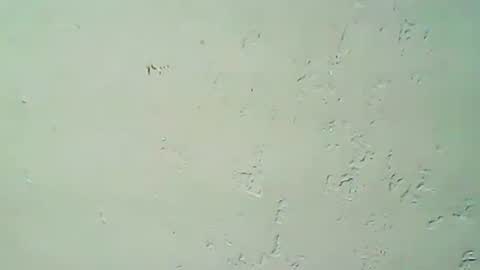 Snapshot of hhhjnf1 chatting on 20, 9, 2025 hhhjnf1 online show from 20, 9, 2025