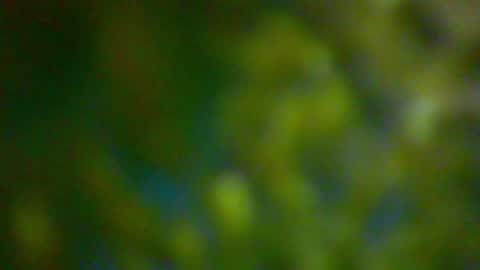 Snapshot of hhhjnf1 chatting on 6, 10, 2025 hhhjnf1 online show from 6, 10, 2025