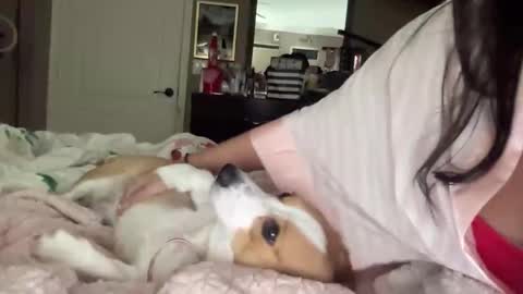 HiddenR0se online show from 14, 2, 2026