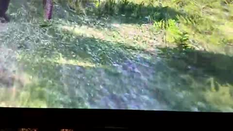 hightymz420 online show from 27, 10, 2025