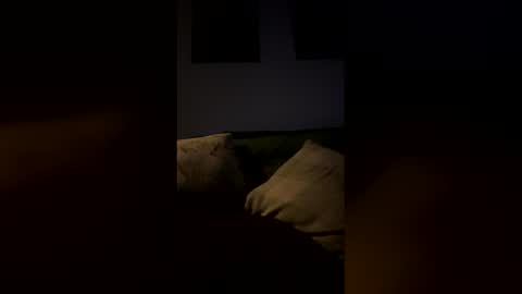 Drake online show from 9, 2, 2026