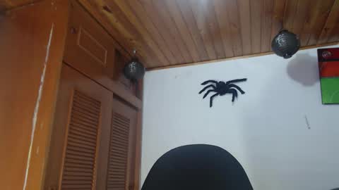 hilaril18 online show from 28, 10, 2025