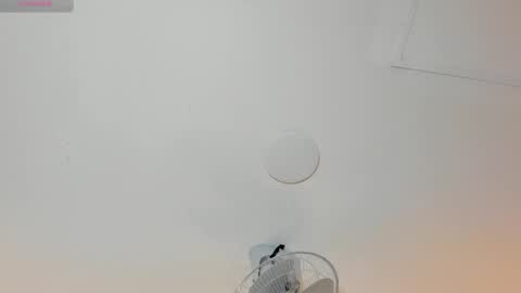 hilary_tailor online show from 12, 1, 2026