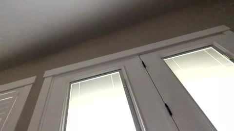 hilltpdave1971 online show from 12, 4, 2026