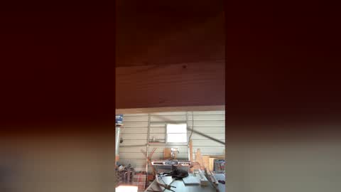 hippiefunball online show from 22, 3, 2026