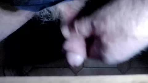 hofnung online show from 6, 4, 2026